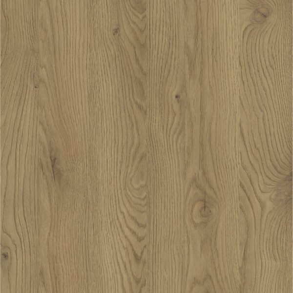 Blat BLACK WOOD D4033 OW Dąb Słoneczny - obrazek 3