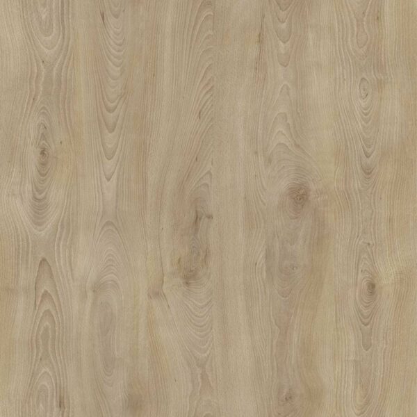 Blat BLACK WOOD D3806 OW Buk Bordeaux - obrazek 3